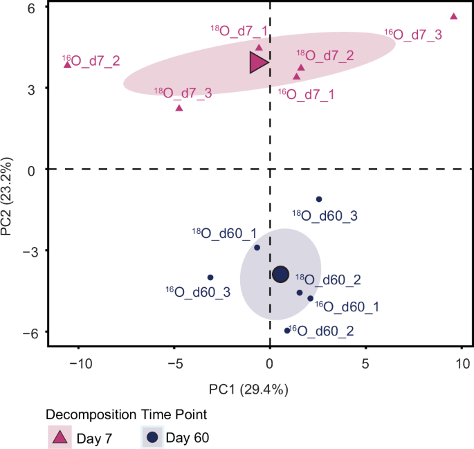 Fig. 7: Principal component analysis (PCA) of relative abundances of metabolites across samples.