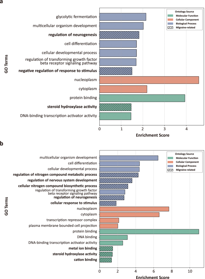 Fig. 5: Gene ontology (GO) enrichment results for migraine-associated genes.