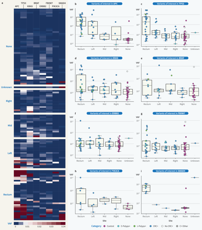 Fig. 3: Maximum VAF by clinical category and pathology site for the eight most frequently mutated genes.