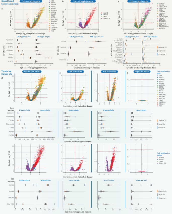 Fig. 4: Hypermethylated CpG sites in CRC cases associate with gene promoters, 5′ ends and CpG islands marked by transcriptionally active or bivalent chromatin in a rectal mucosa reference epigenome.