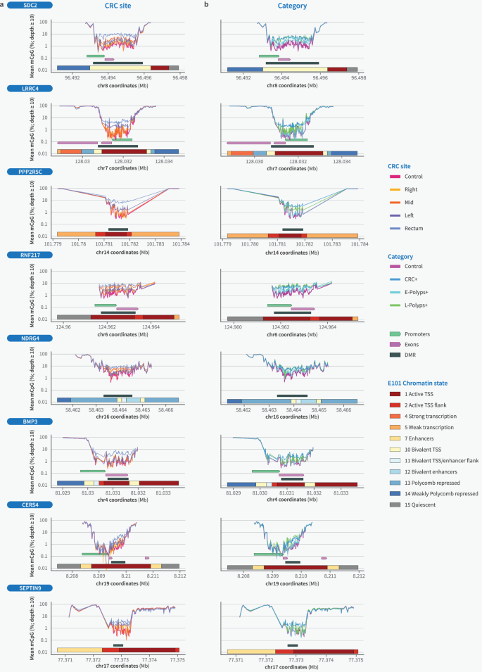 Fig. 5: Regions with elevated DNA methylation in CRC show gradients of hypermethylation across pathology sites and clinical categories.