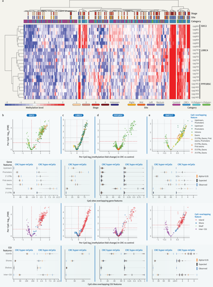 Fig. 6: CRC hypermethylation is most pronounced at target CpG sites in&nbsp;SDC2, LRRC4, PPP2R5C and RNF217, which have shared and distinct associations with (epi)genomic annotations.