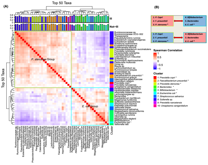 Fig. 3: Network heatmap reveals trophic microbial community structure and immune-protective clusters.