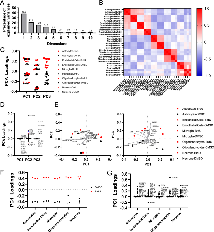Fig. 5: Principal component analysis reveals a cell-type-specific senescence profile.