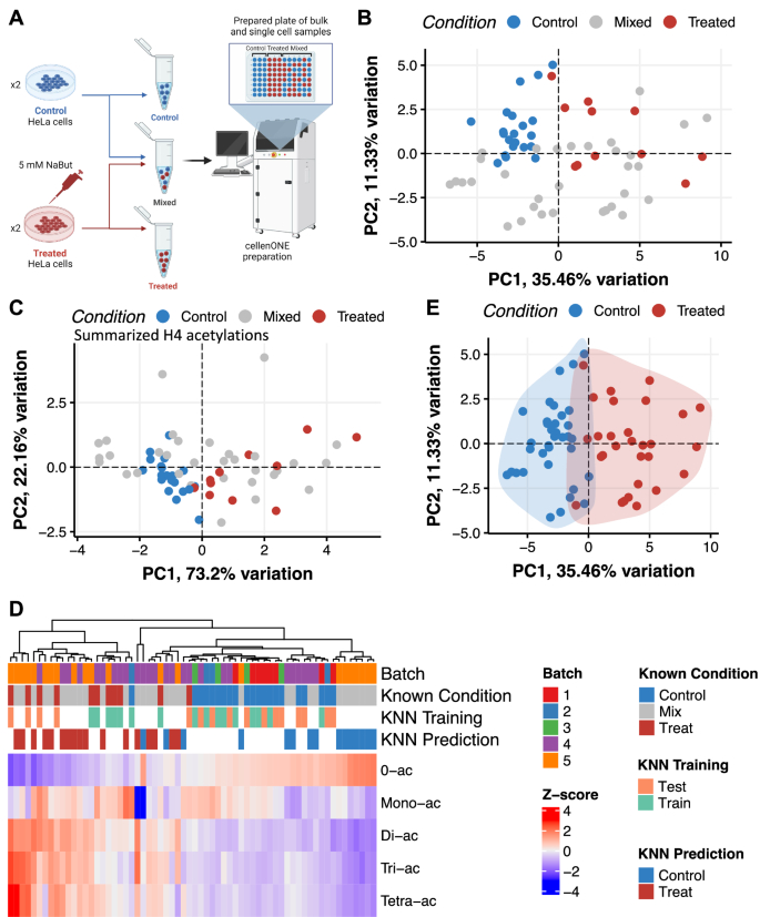 Fig. 4: Classification of single cells following HDAC inhibitor treatment.