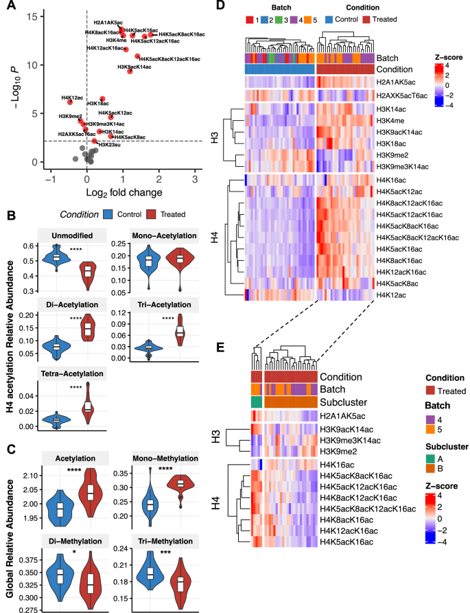 Fig. 5: HDAC inhibitor treatment induces histone hyperacetylation and cell-to-cell chromatin heterogeneity.