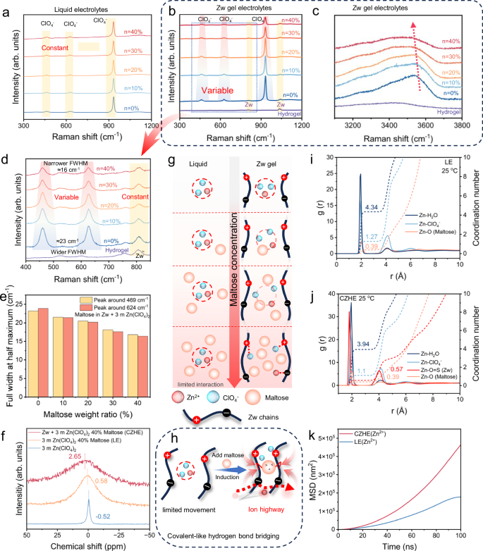 Fig. 2: Study of enhanced ion-polymer interactions and promotion of Zn2+.