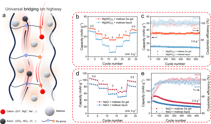 Fig. 7: The electrochemical performances of the as–assembled AC | | PANI for MIBs and NIBs.