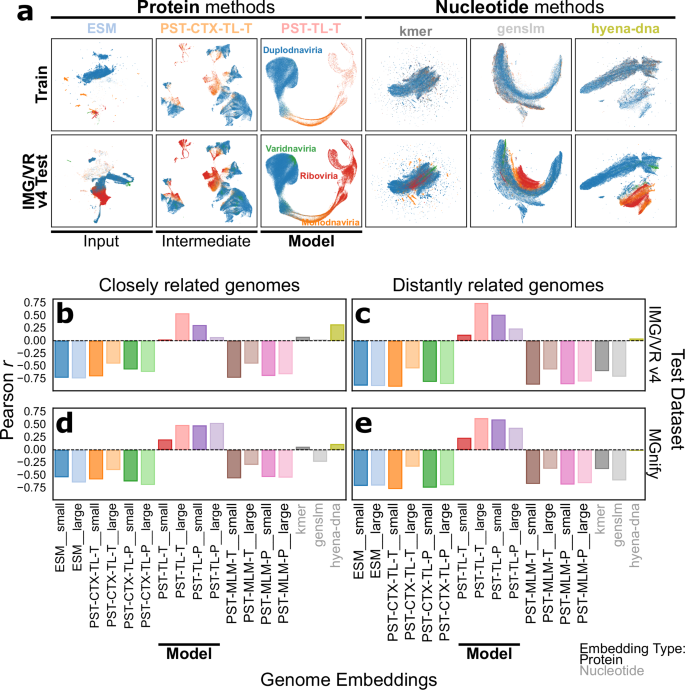 Fig. 2: PST learns biologically meaningful genome representations for diverse sets of viruses.