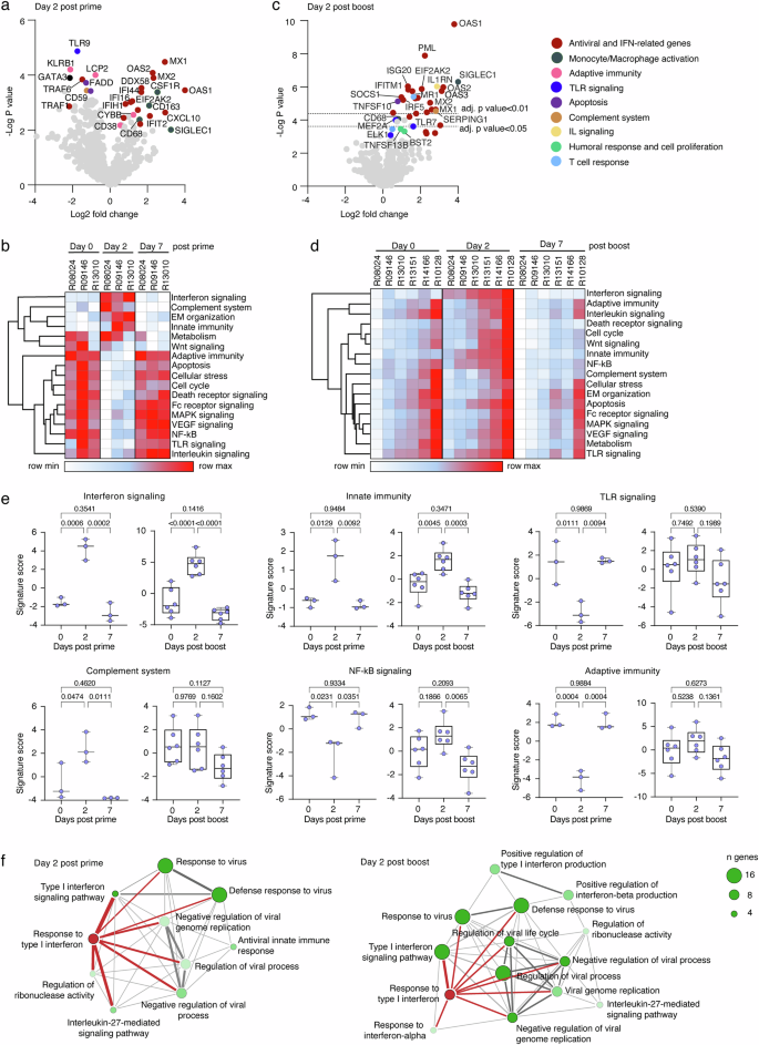 Fig. 2: Transcriptional analysis after YF-ZIK prime and boost.