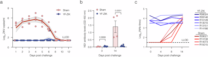 Fig. 5: YF-ZIK vaccination protects against ZIKV infection in macaques.