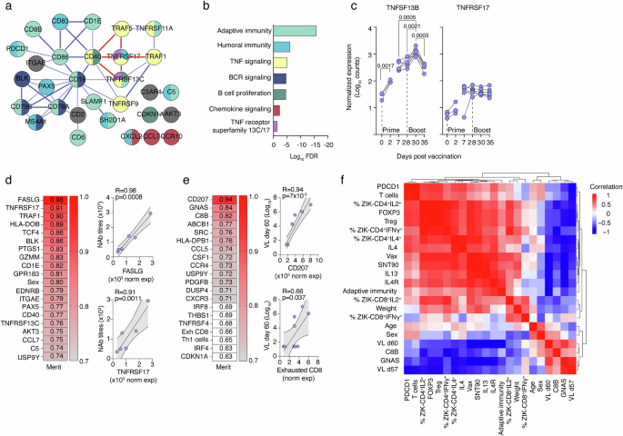 Fig. 7: Predictive gene signatures for neutralizing antibody response and clinical outcome in macaques.