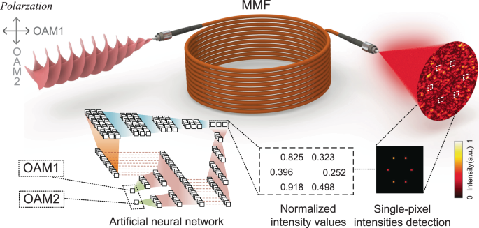 Fig. 1: SMPD framework for single-shot OAM recognition via ultra-sparse speckle sampling.