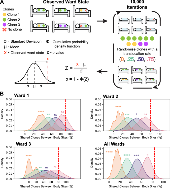 Fig. 2: Simulations based on empirical ward occupation data demonstrate that translocation is more likely than acquisition from exogenous sources.