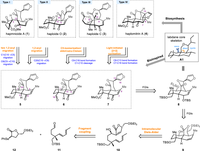Fig. 2: Retrosynthetic analysis.