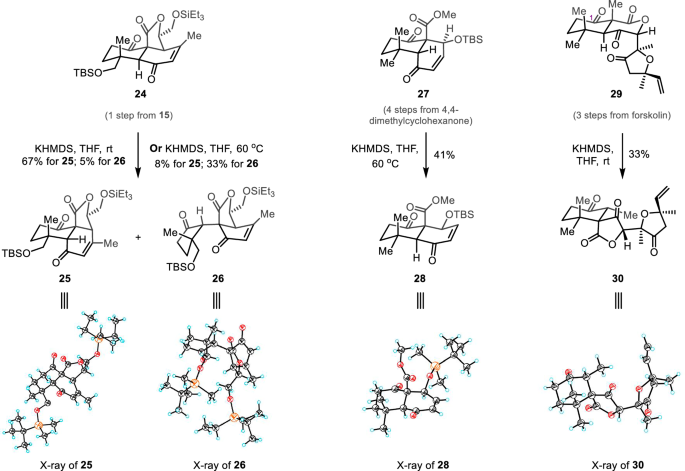 Fig. 5: Late-stage 1,2-acyl migration rearrangements of polycyclic terpenoids.
