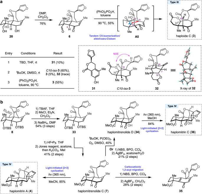 Fig. 6: Synthesis of haploide C (3), haplomitrenolides C/D (7/34), and haplomitrins A/C (4/36).