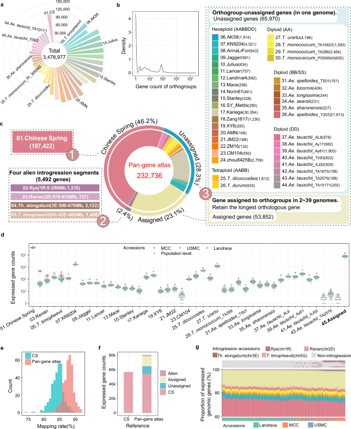 Fig. 2: Creating a pan-gene atlas.