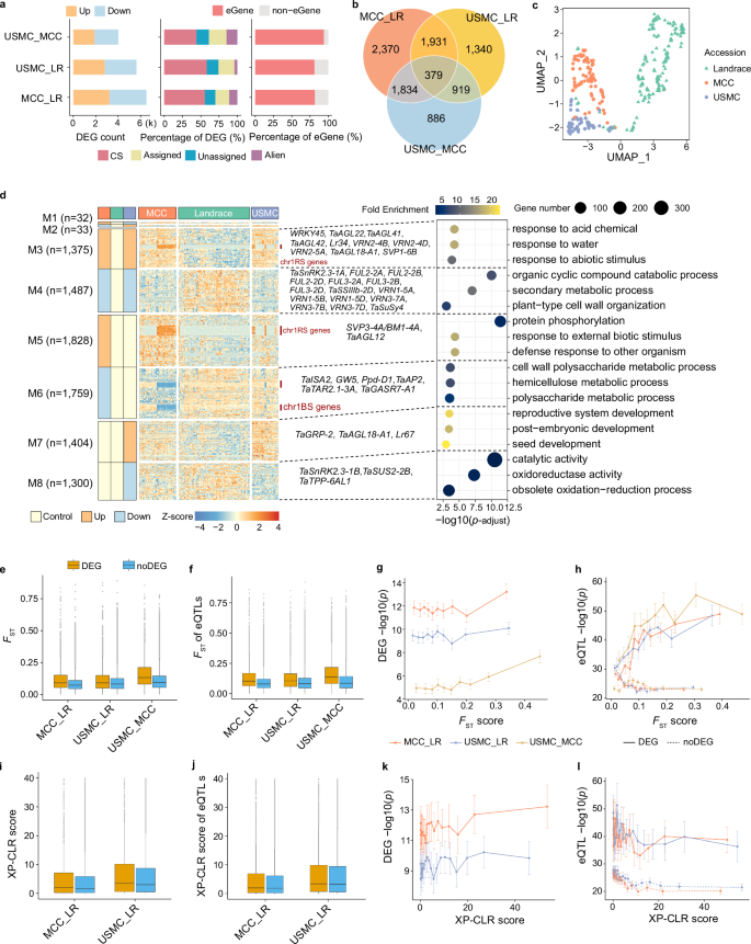 Fig. 6: The genome-wide impact of breeding selection on gene expression regulation.