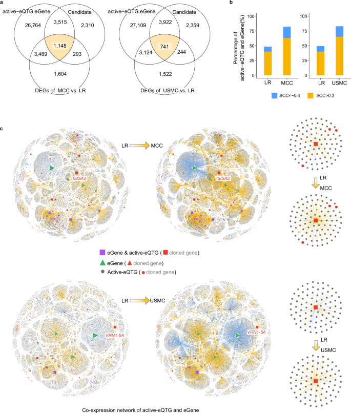 Fig. 7: The gene expression networks of different breeding programs.