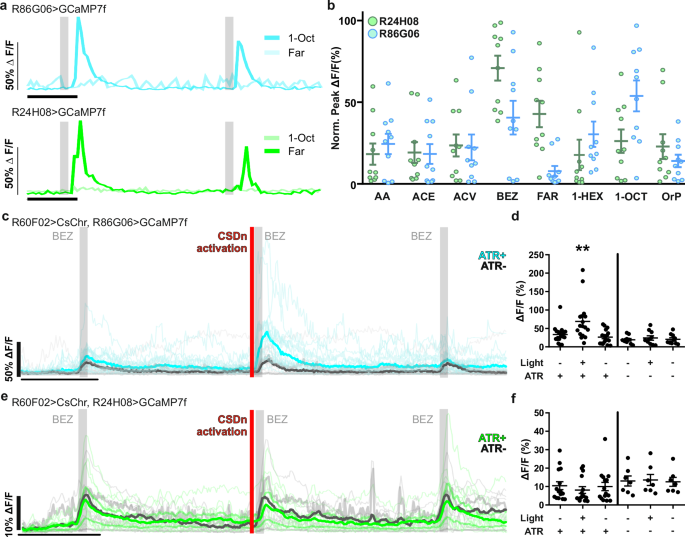 Fig. 5: Endogenous 5-HT differentially modulates v-PN odor-evoked responses.