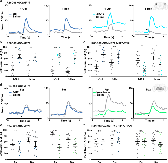 Fig. 6: Serotonin differentially modulates odor-evoked responses of v-PNs.