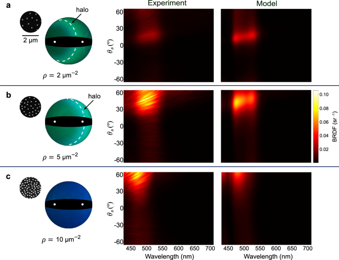 Fig. 4: Blue shift induced by multiple scattering just below the critical packing threshold.