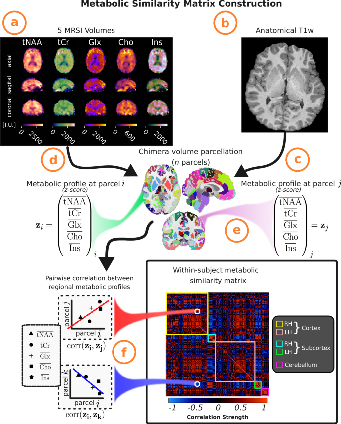 Fig. 1: Within-subject metabolic similarity matrix construction.