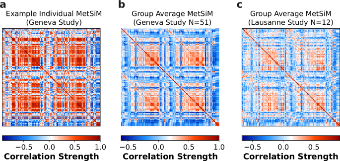 Fig. 2: Individual and Group Average Metabolic Similarity Matrices.