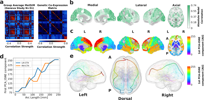 Fig. 8: Metabolic Similarity and Genetic Co-expression.