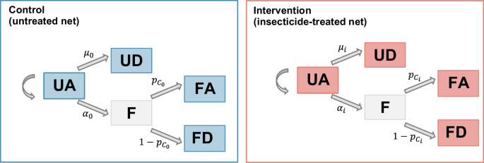 Fig. 5: Schematic representation of the model used for statistical estimation of entomological effects.