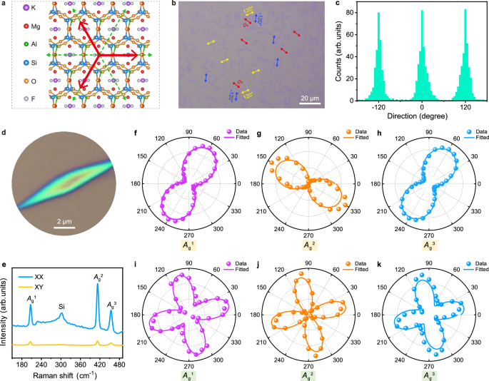 Fig. 3: Orientation distribution and angle-resolved polarized Raman spectroscopy (ARPRS) anisotropic characterization of two-dimensional (2D) CrOCl.
