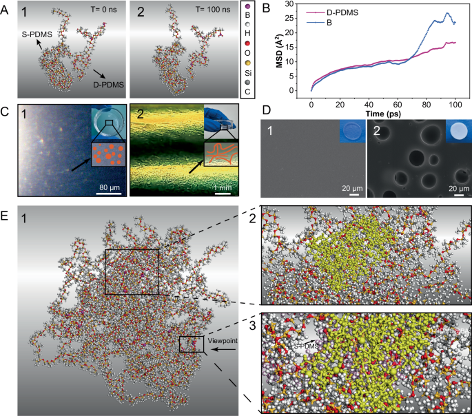 Fig. 2: Molecular mechanism of heterogeneous network formation and phase separation.