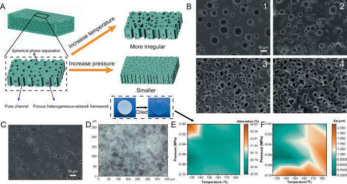 Fig. 4: Morphology and porous structure of HNP-PDMS@BA.