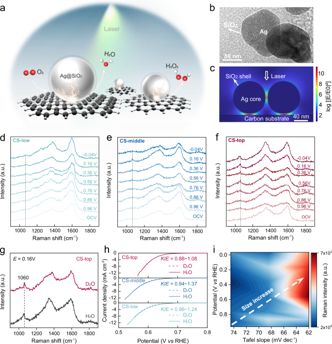Fig. 4: In situ Raman spectroscopy and kinetic analysis of ORR on carbon soot.