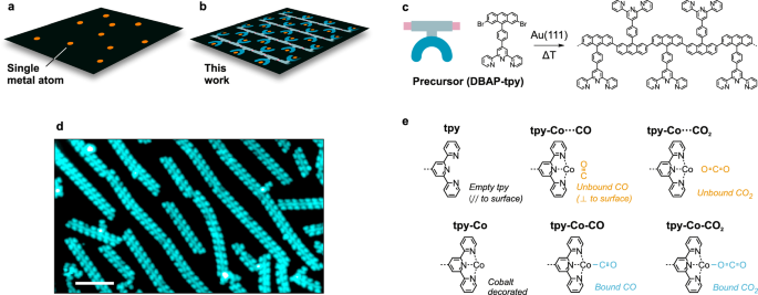 Fig. 1: Engineering single atom catalysts.