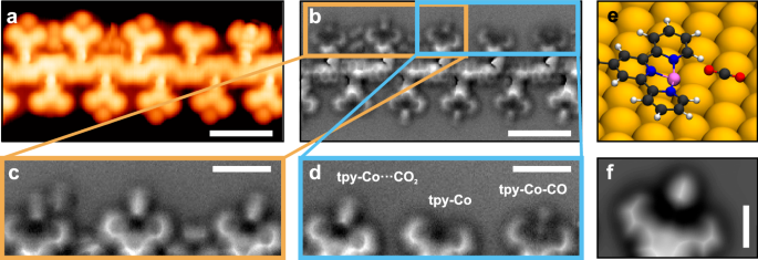 Fig. 5: Trapping of CO2.