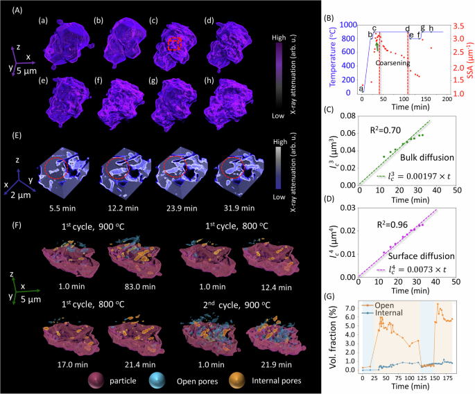 Fig. 5: Morphological evolution, coarsening mechanism, and formation of a porous structure, visualized and quantified from a single Co3O4 microparticle during thermal redox cycles between 800 and 900 °C.