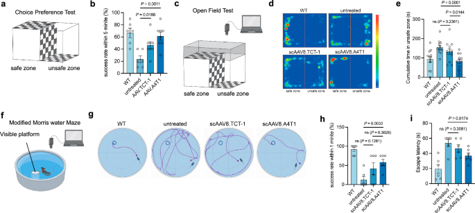Fig. 4: scAAV8.A4T1 treatment rescues visual-guided behavior in rd12 mice.