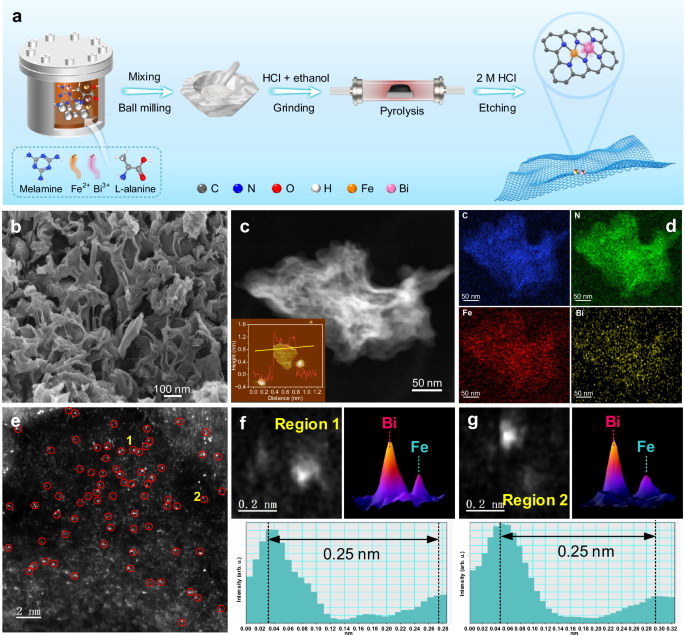 Fig. 1: Synthesis and morphological structure of FeBi–N–C.