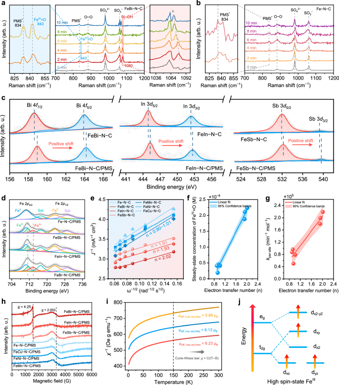 Fig. 5: Mechanistic insights into the selective FeIV = O generation.