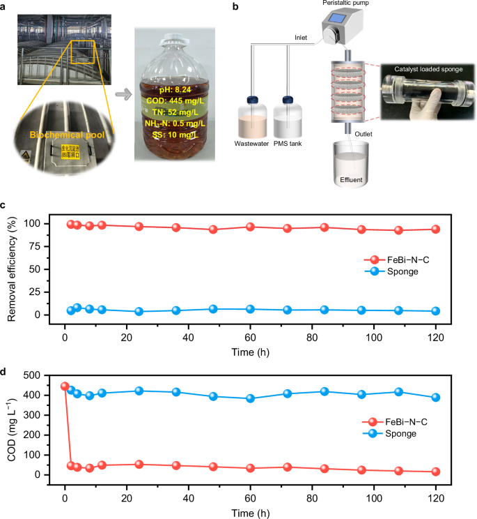 Fig. 7: Practical wastewater purification.