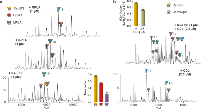 Fig. 5: Lipid binding to LptB2FG/LptB2FGC.