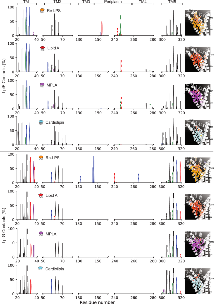 Fig. 6: Lipid binding to LptB2FG from MD simulations.