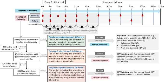 Fig. 1: Study design and flowchart.