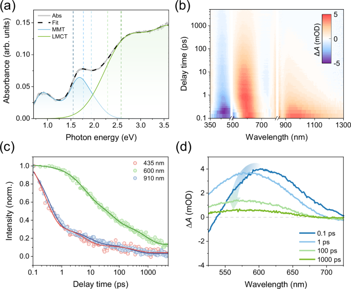 Fig. 1: Co3O4 transient carrier dynamics.