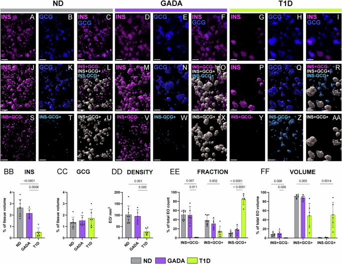 Fig. 1: 3D quantification of INS+ and GCG+ volume, EO density and cellular composition in human ND, GADA, and T1D pancreas.