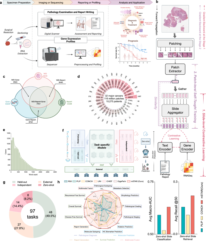 Fig. 1: Overview of the study.