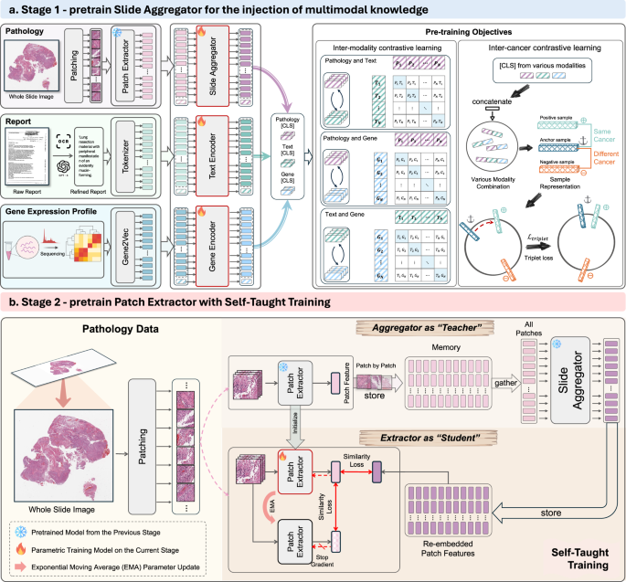 Fig. 2: The overview of mSTAR pipeline.