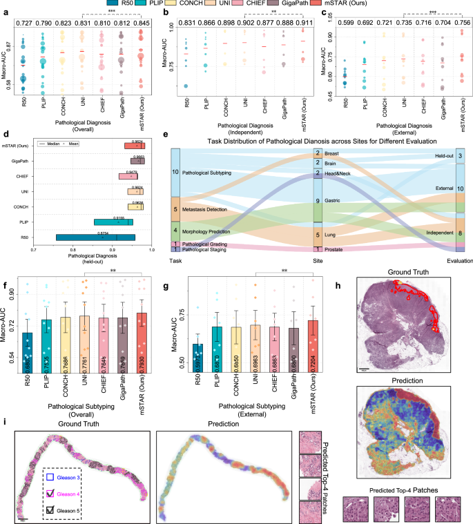 Fig. 3: Performance of pathological diagnosis on 21 datasets.